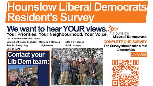 LibDem Survey Promo