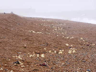 Palm Oil on beach