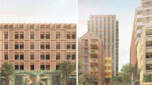 New plans for the Walnuts
