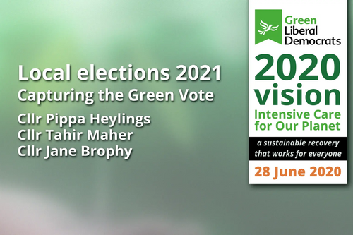 Local Elections 2021 - Capturing the Green Vote (From GLD 2020 Vision Conference)