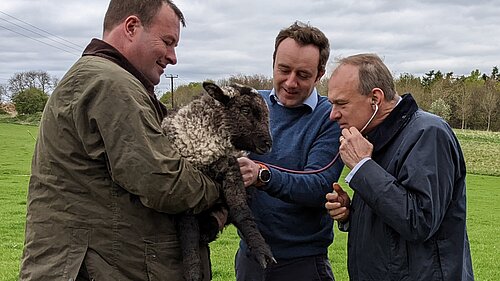 Danny and Ed with sheep