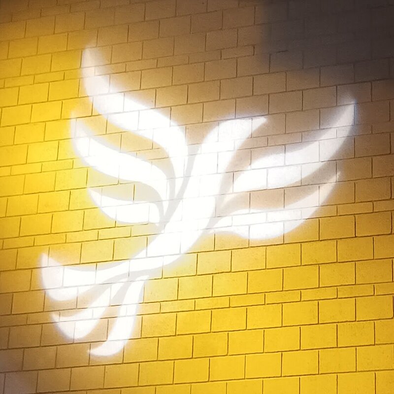 Lib Dem logo bird projected on blockwork