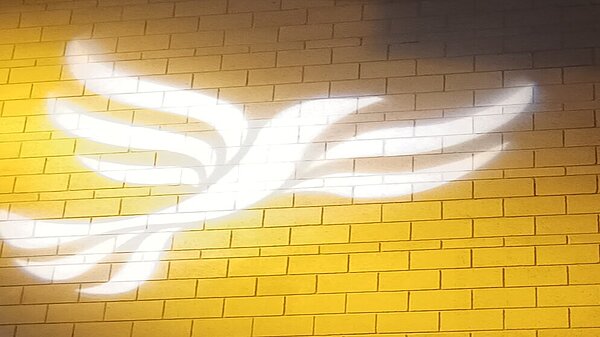 Lib Dem logo bird projected on blockwork