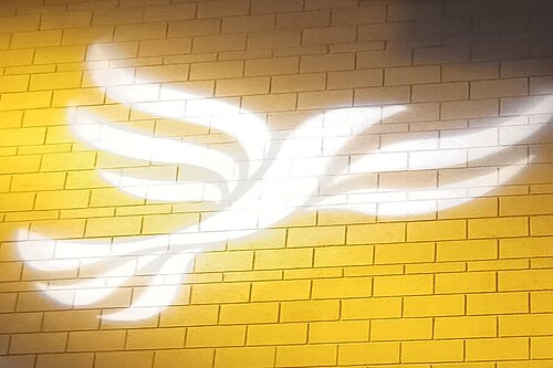 Lib Dem logo bird projected on blockwork