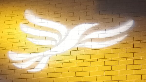 Lib Dem logo bird projected on blockwork