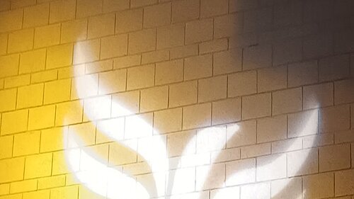 Lib Dem logo bird projected on blockwork