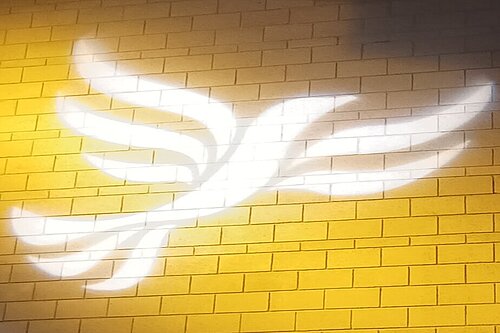 Lib Dem logo bird projected on blockwork