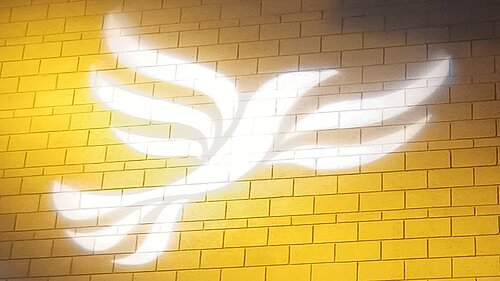 Lib Dem logo bird projected on blockwork