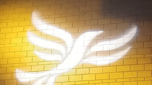 Lib Dem logo bird projected on blockwork