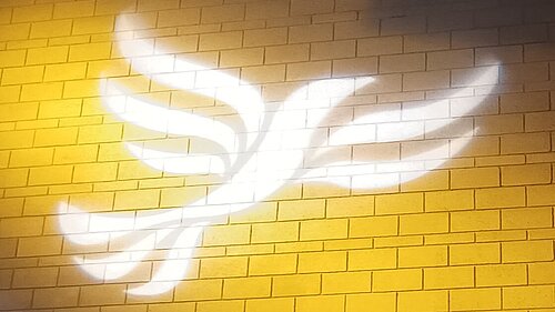 Lib Dem logo bird projected on blockwork