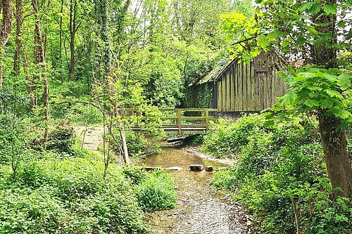 Upper Ivel at Radford