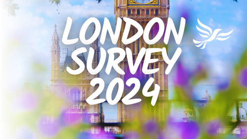 London Survey 2024