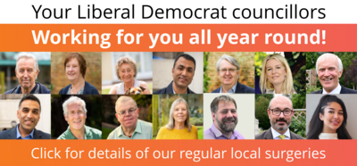 Councillors