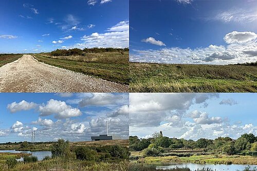 Beddington Farmlands