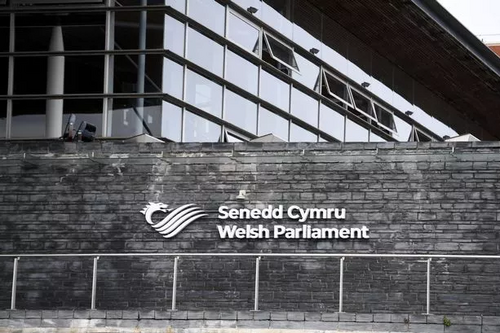 Senedd