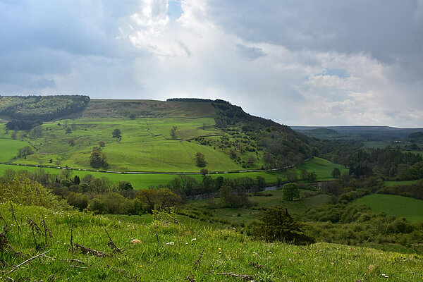 A landscape in northern England