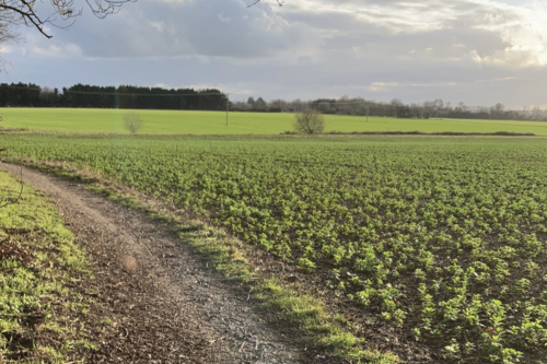image of countryside near Ickleford