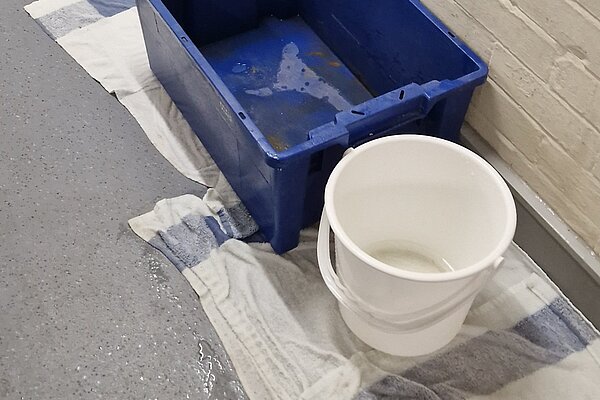 Musgrove Park buckets catching rain