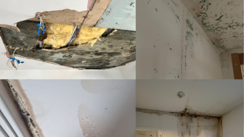 Disrepair in Wardroper House