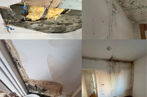 Disrepair in Wardroper House