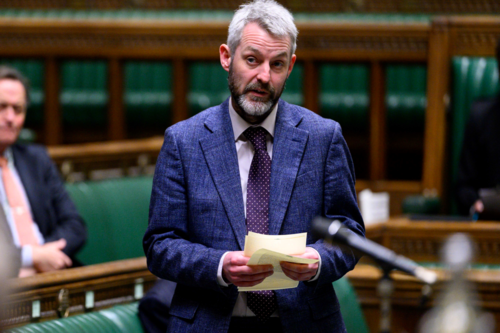 Will In Parliament
