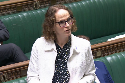 Alison speaking on baby loss