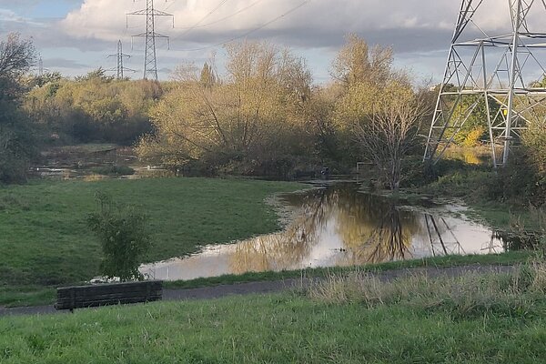 River Wandle River Wandle