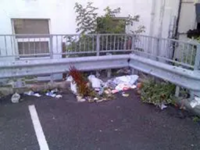 Litter and rubbish