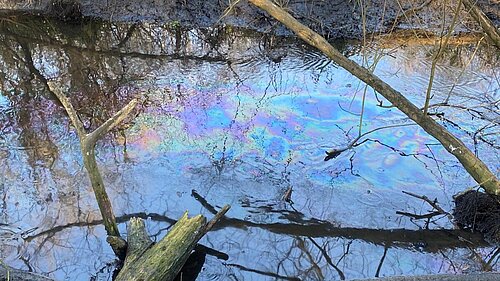 A major diesel spill has polluted the River Wandle