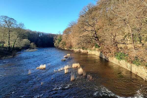 River Finchale