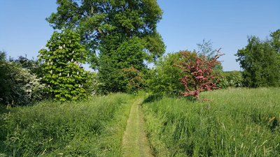 Field pathway