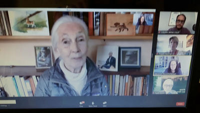 Jane Goodall talking at Green Lib Dems virtual conference June 2020