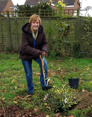 Sandra Dunn planting Cedar's Rec