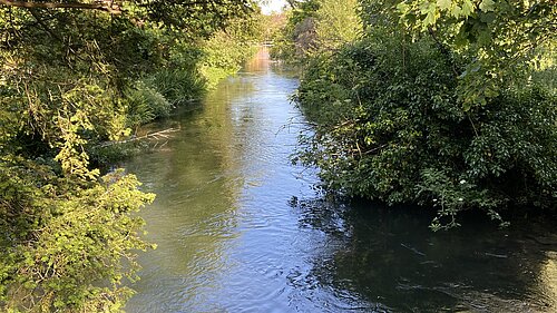River Lambourn