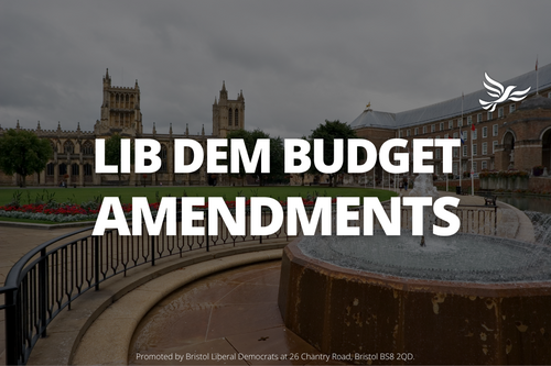 Graphic saying "Lib Dem Budget Amendments"