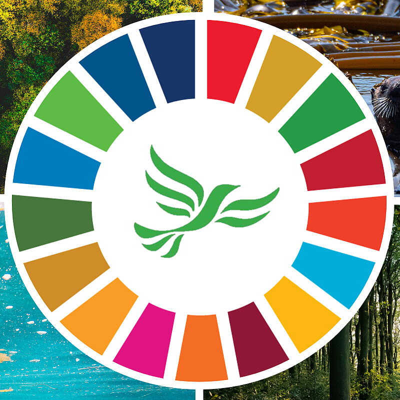 Treasurer: Jeremy Nelson