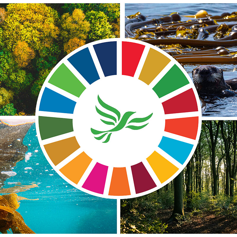 Membership: Uthman Ukueku