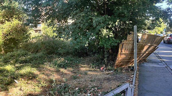 Broken fencing on Beulah Hill