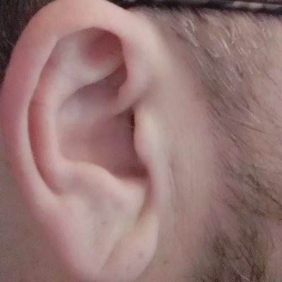 Ear