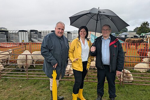 Lib Dems and sheep in the rain