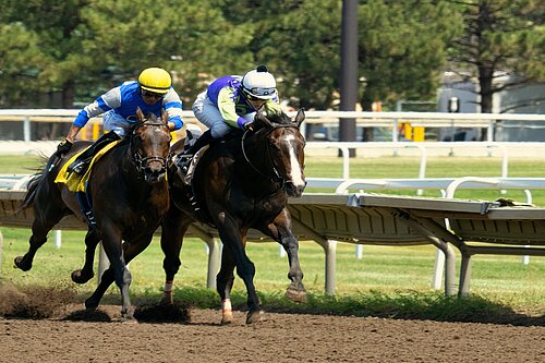 Two horses in a race, each ridden by a jockey.