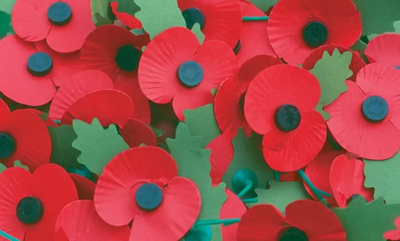 Poopy image (A group of lapel poppies)