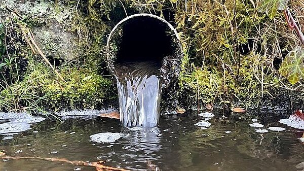 Stop Sewage Dumping