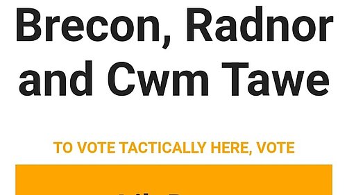 A screenshot tactical voting advice backing the Liberal Democrats in Brecon, Radnor and Cwm Tawe