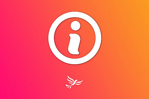 Lib Dems Internal Elections Graphic