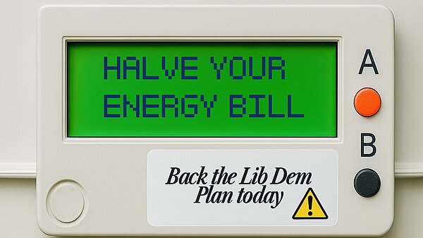 An energy meter mockup which reads "Halve your energy bill" "Back the Lib Dem plan today"