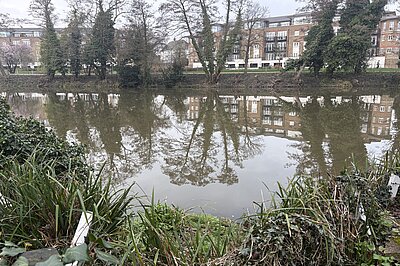 Temple Pond, Stanmore