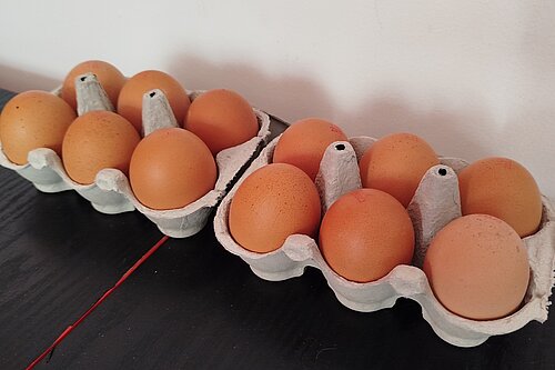 12 eggs in box