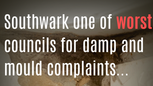damp and mould