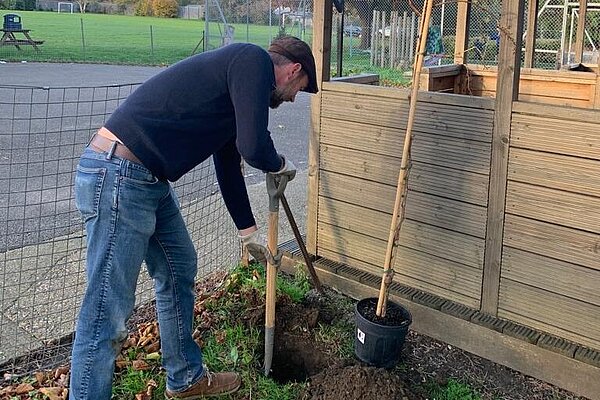 Stuart Planting Tree